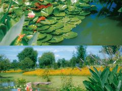 -上海辰山植物园