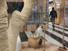 -袖虎·猫馆(体育西路店)