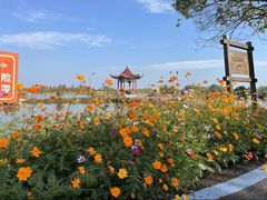 -军山湖云水间生态农业旅游景区