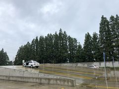 -光明驾校·学车·陪驾(川沙店)