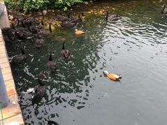 -长白岛森林公园