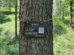 -午潮山国家森林公园