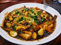 -大金山酒店