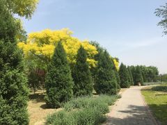 -永定河休闲森林公园