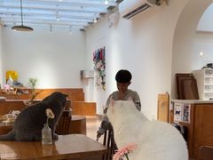 -有猫主题·治愈系猫咖(曾厝垵店)