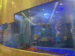 -新兴家喻酒家·羊城名宴(昌岗店)