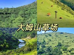 -大姆山草场