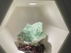 -安徽省地质博物馆