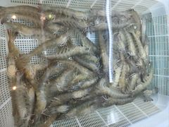 -吉香碳烤生蚝(仙霞路店)