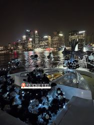 -迈瑞米求婚策划(静安店)