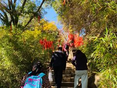 -少华山国家森林公园