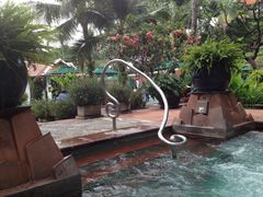 温泉-阿瓦尼河滨曼谷酒店