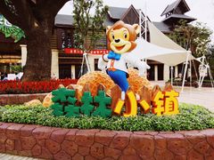 -苏州乐园森林水世界