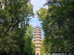 -灵谷景区