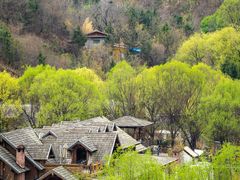 -九如山休闲旅游度假区