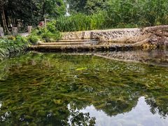 -成都市活水公园