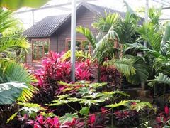 -呀路古热带植物园