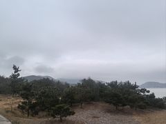 -普陀山风景名胜区-法雨禅寺