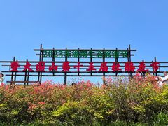 -大围山国家森林公园
