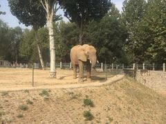 -石家庄市动物园