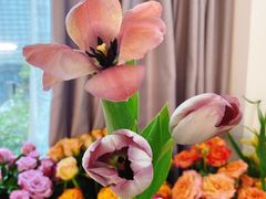 -森野花艺培训·企业团建活动沙龙