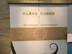 -安徽省地质博物馆