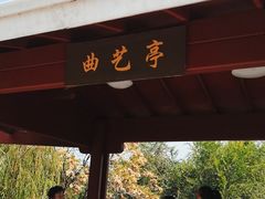 -滨河世纪广场公园