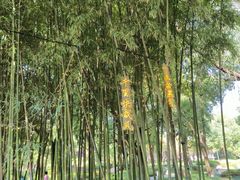 -东坡赤壁风景名胜区