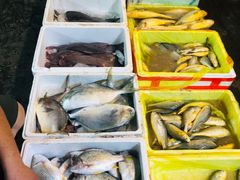 -无锡天鹏食品城