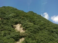 -牛背梁国家森林公园