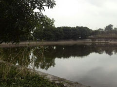 android_upload_pic-榴花公园