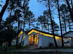 -竹上云想餐厅民宿