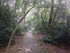 -岳麓山风景名胜区