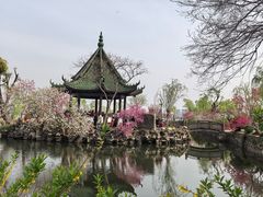 -无锡蠡湖国家湿地公园-蠡园