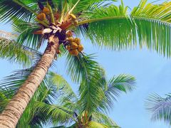 -三亚西岛海洋文化旅游区