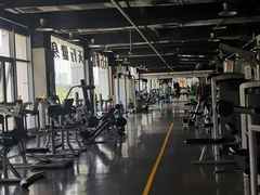 -天行健身＆天行拳馆跆拳道·格斗TXGYM
