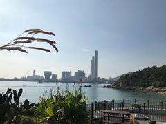 -南丫岛