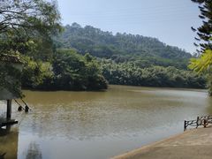-滴水岩森林公园