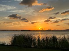 -苏州东太湖生态园