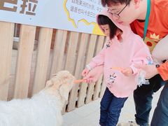 -廊坊固安福朋喜来登酒店
