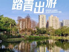 -四海公园(南山区)