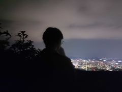 -长虫山生态公园风景林
