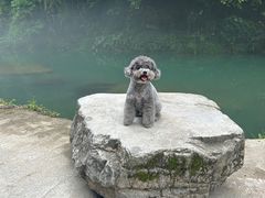 -狮子关旅游区