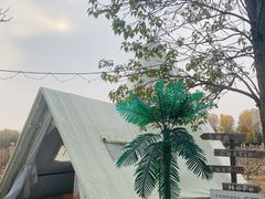 -安德鲁户外烧烤帐篷营地(马泉营店)