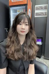 -藤野造型
