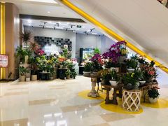 -客语客家菜(华发商都店)