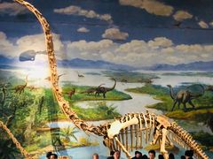 -自贡恐龙博物馆