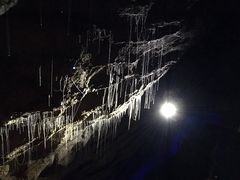 -怀托摩萤火虫洞