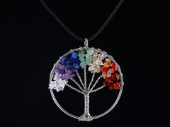 -视禾摄影培训(越秀区分部)