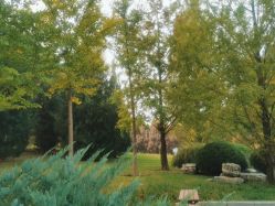 -大望京儿童游乐场